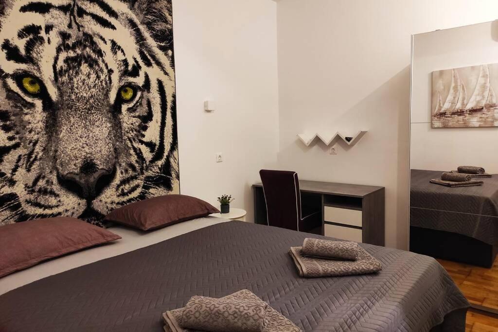 Spacious Apartment Near City Center And The Beach Сплит Екстериор снимка