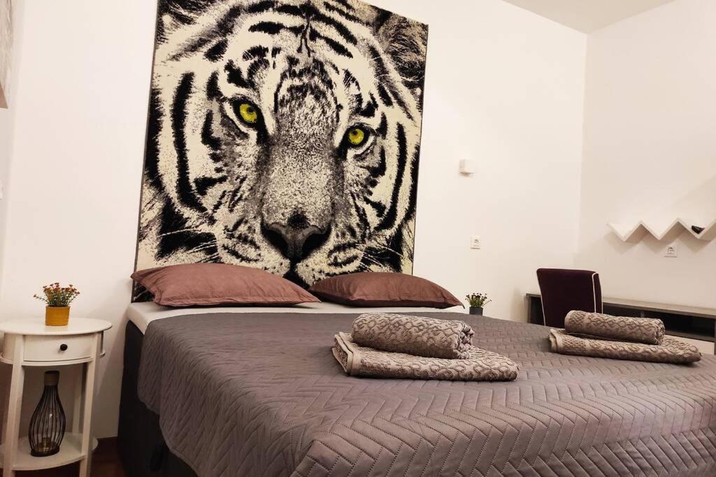 Spacious Apartment Near City Center And The Beach Сплит Екстериор снимка